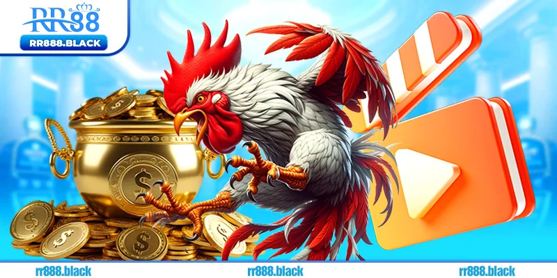 Ưu điểm nổi bật của đá gà RR88