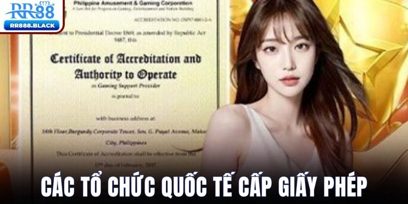 Tổ chức uy tín cấp giấy phép hoạt động